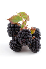 Cluster of blackberries