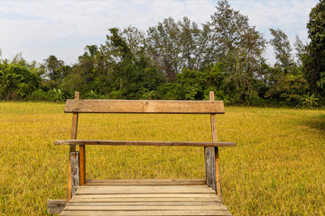 Fototapeta premium Wooden bench on the top rice field background.