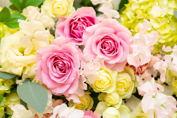 Pink flower