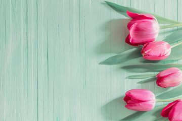 pink tulips on green wooden background