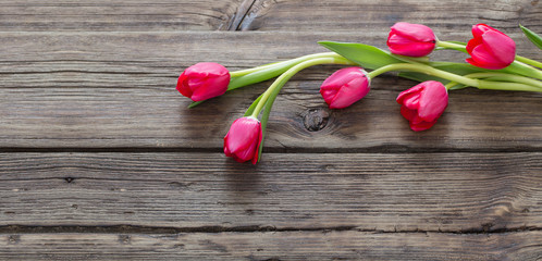 Fototapeta na wymiar red tulips on dark wooden background