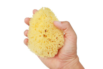 Bathing sea sponge for babies in hand isolated on white background.