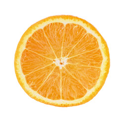 Isolated citrus slices of orange on a white background