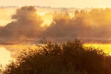 Fototapeta na wymiar Sunrise in wetland, Kopacki rit, Croatia