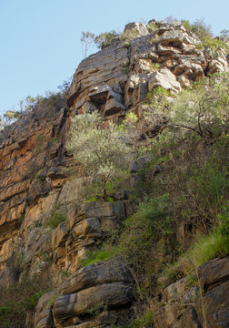 Rock shaped like a face, Morialta Conservation Park