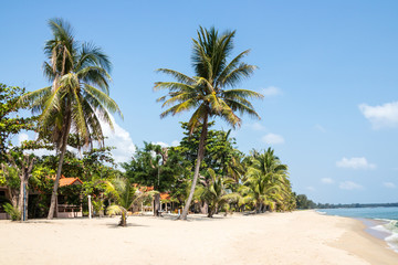 Fototapeta na wymiar Resort on tropical beach