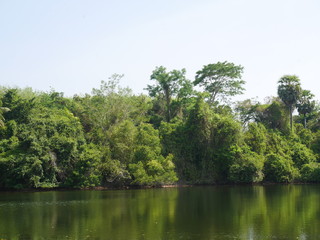 Fototapeta premium lake in the forest