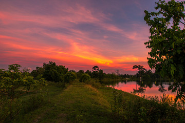 Wallpaper blurred nature of the twilight light in the evening by the large water basin surrounded by big trees, the integrity of the forest