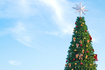 Christmas tree that large beautiful stars at the top.