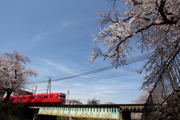 春の旅・桜と電車