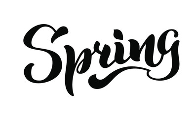 Spring Handwritten lettering isolated on white. Vector illustration for poster, card, calendar, spring logo, bullet journal. Concept spring advertising. EPS 10