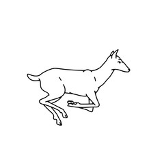 Wild deer female jumped vector outline black white sketch illustration.