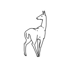 Wild deer female vector outline black white sketch illustration.