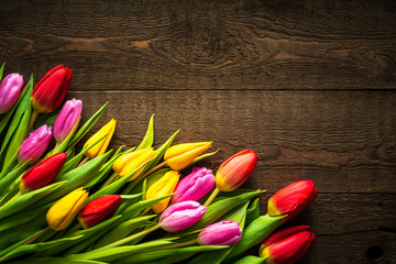 Tulips Flowers on rustic table for March 8, International Womens Day, Birthday , Valentines Day or Mothers day - Closeup
