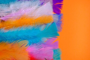 Feathers background. Bright multicolored feathers on a  orange background. Feathers mottled texture.