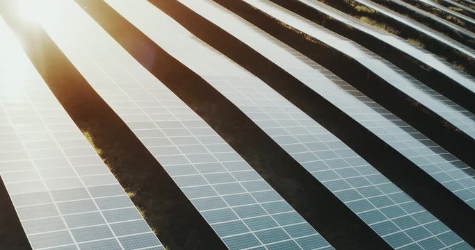 Aerial view of an endless array of blue solar panels reflecting the sunrise, the future of renewable energy is here