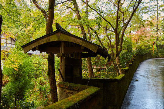「青葉」の画像 35,534 件の Stock 写真、ベクターおよびビデオ Adobe Stock
