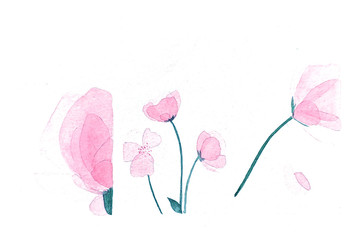 Transparent pink flowers on white background