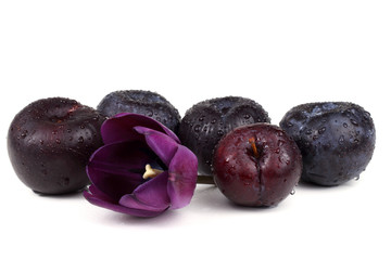 Black plums and tulip