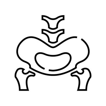 Pelvic bone structure line icon, concept sign, outline vector illustration, linear symbol.