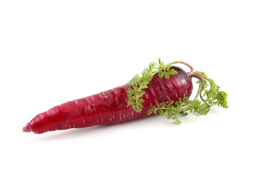 Red carrot with leaf