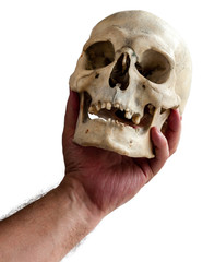 A human skull in a man's hand. To be or not to be.
