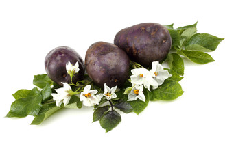 Violet potatoes and flowers on leaves