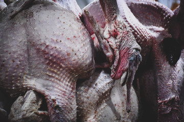 Turkeys hanging on sale before Christmas in a Mexican market.