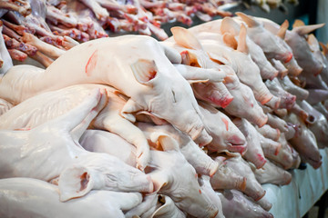 Obraz premium Baby or sucker porks stacked in a Mexican market for sell.