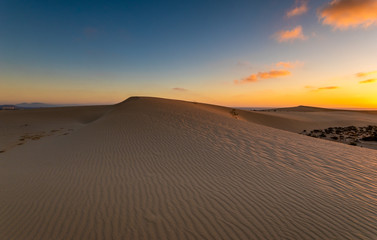 Fototapeta na wymiar Sand dunes in the National Park of Dunas de Corralejo during a beautiful sunrise- Canary Islands - Fuerteventura.