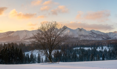Beautiful winter mountain landscape at sunrise-Tatra Mountains, Poland.Panorama
