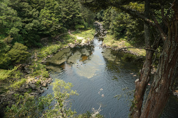 Beautiful Rainbow Falls in Kerikeri North Island New Zealand