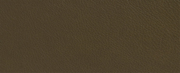 luxury brown leather skin texture background