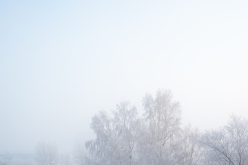 Obraz na płótnie Canvas winter landscape of frozen trees, top view