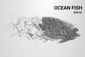 Ocean fish from the particles. Ocean fish consists of circles and dots. Ocean fish break up into molecules.