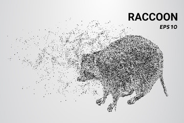 Raccoon of the particles. A raccoon consists of circles and dots. The raccoon splits into molecules. © newrossosh