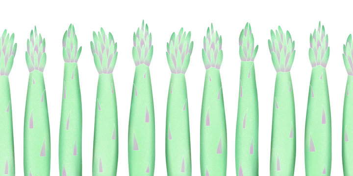 Hand drawn color asparagus seamless pattern. Organic fresh vegetable illustration isolated on white background. Retro vegetable botanical background.