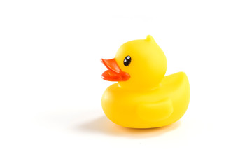 Take a close up shot of the toy duck