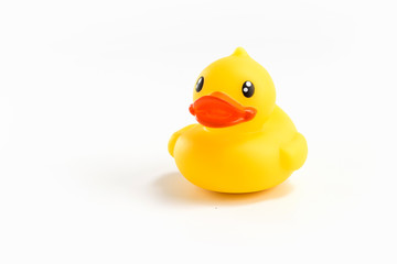 Take a close up shot of the toy duck