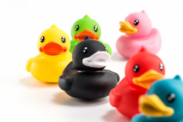 Take a close up shot of the toy duck