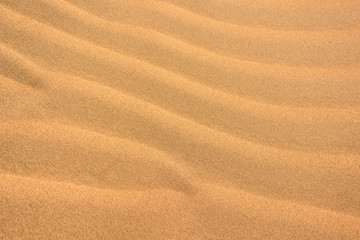 Ripples in the sand