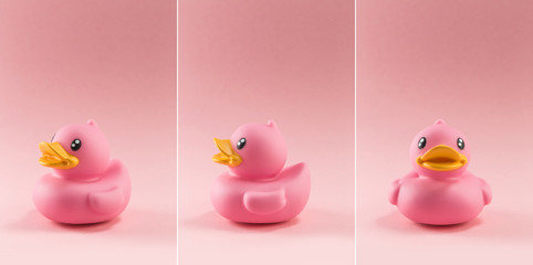 Take a close up shot of the toy duck