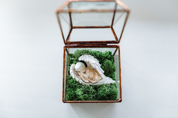 wedding rings in a small glass box, angel