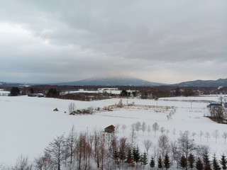 Winter landscape photo of snow covered fields and cottages with bare trees in foreground and the majestic Mount Yotei in the background 