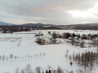 Winter landscape photo of snow covered fields and cottages with bare trees in foreground and the majestic Mount Yotei in the background 