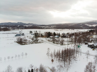 Winter landscape photo of snow covered fields and cottages with bare trees in foreground and the majestic Mount Yotei in the background 