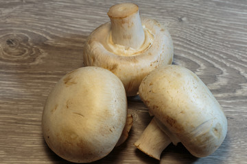 Heap of raw champignon heap ready for cooking