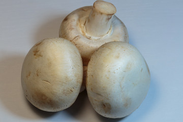 Heap of raw champignon heap ready for cooking