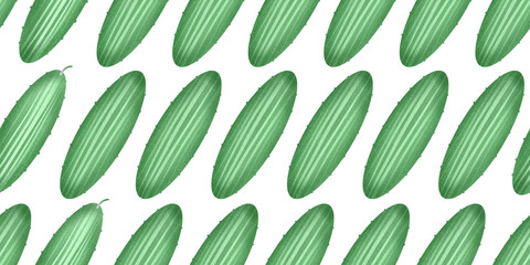 Hand drawn color cucumber seamless pattern. Organic fresh vegetable illustration isolated on white background. Retro vegetable botanical background.