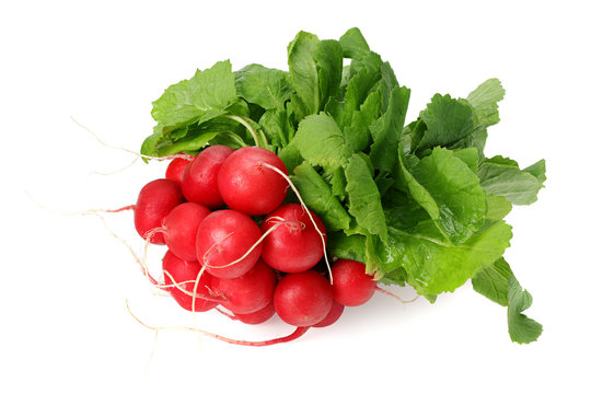 Fresh Radish Bunch Isolated On White Background